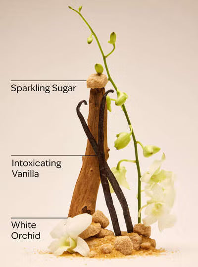 Bath and Body Works PocketBac Sanitiser - Warm Vanilla Sugar Moisturising