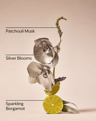 Bath and Body Works Fine Fragrance Mist - Platinum
