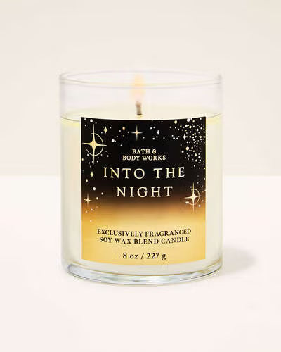 Bath & Body Works single wick Candle - Into the Night