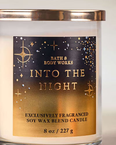 Bath & Body Works single wick Candle - Into the Night