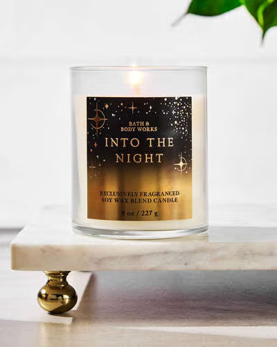 Bath & Body Works single wick Candle - Into the Night