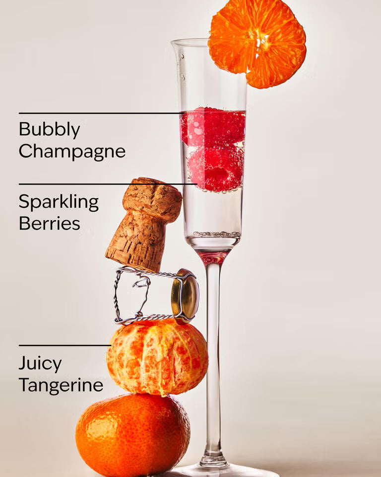 Bath and Body Works Car Fragrance Refill - Champagne Toast