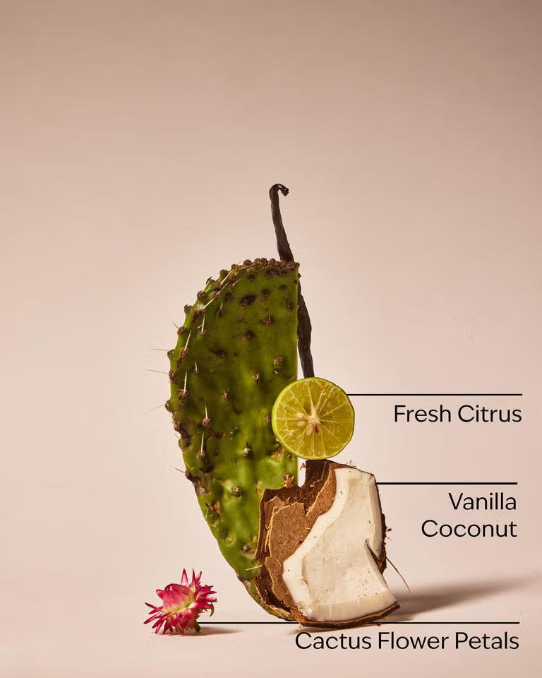 Bath and Body Works Car Fragrance Refill - Cactus Blossom
