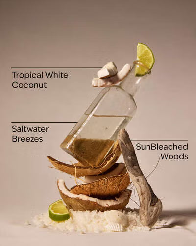 Bath and Body Works Home Fragrance Refill, Waikiki Beach Coconut