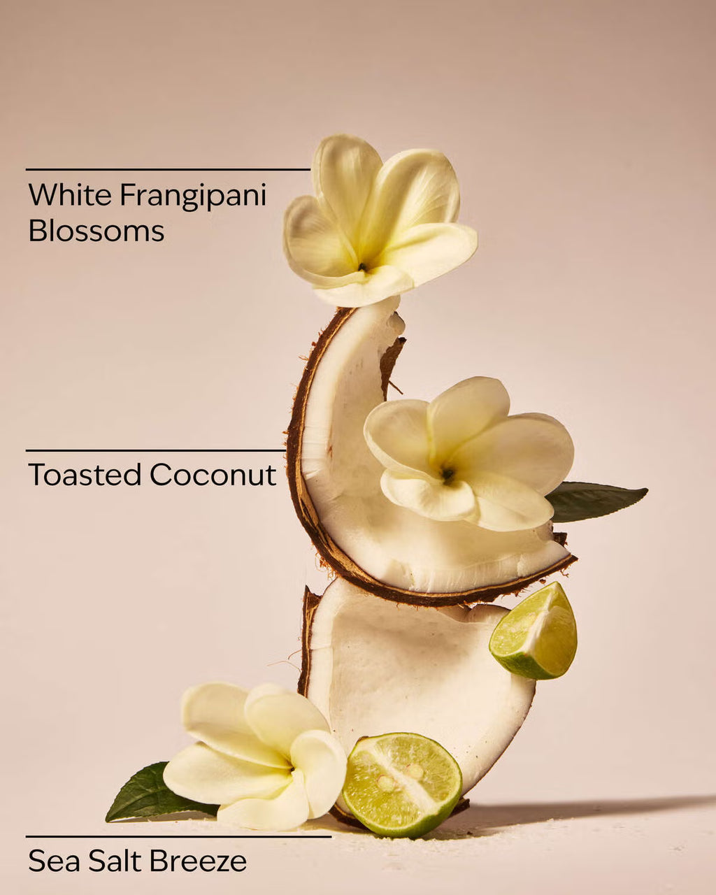 Bath and Body Works Fine Fragrance Mist - At the Beach
