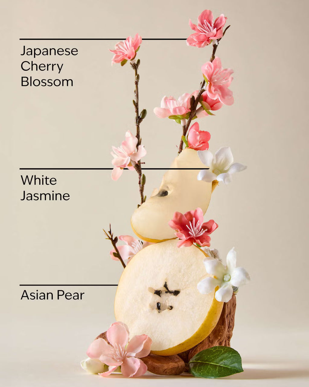 Bath and Body Works Fine Fragrance Mist - Japanese Cherry Blossom