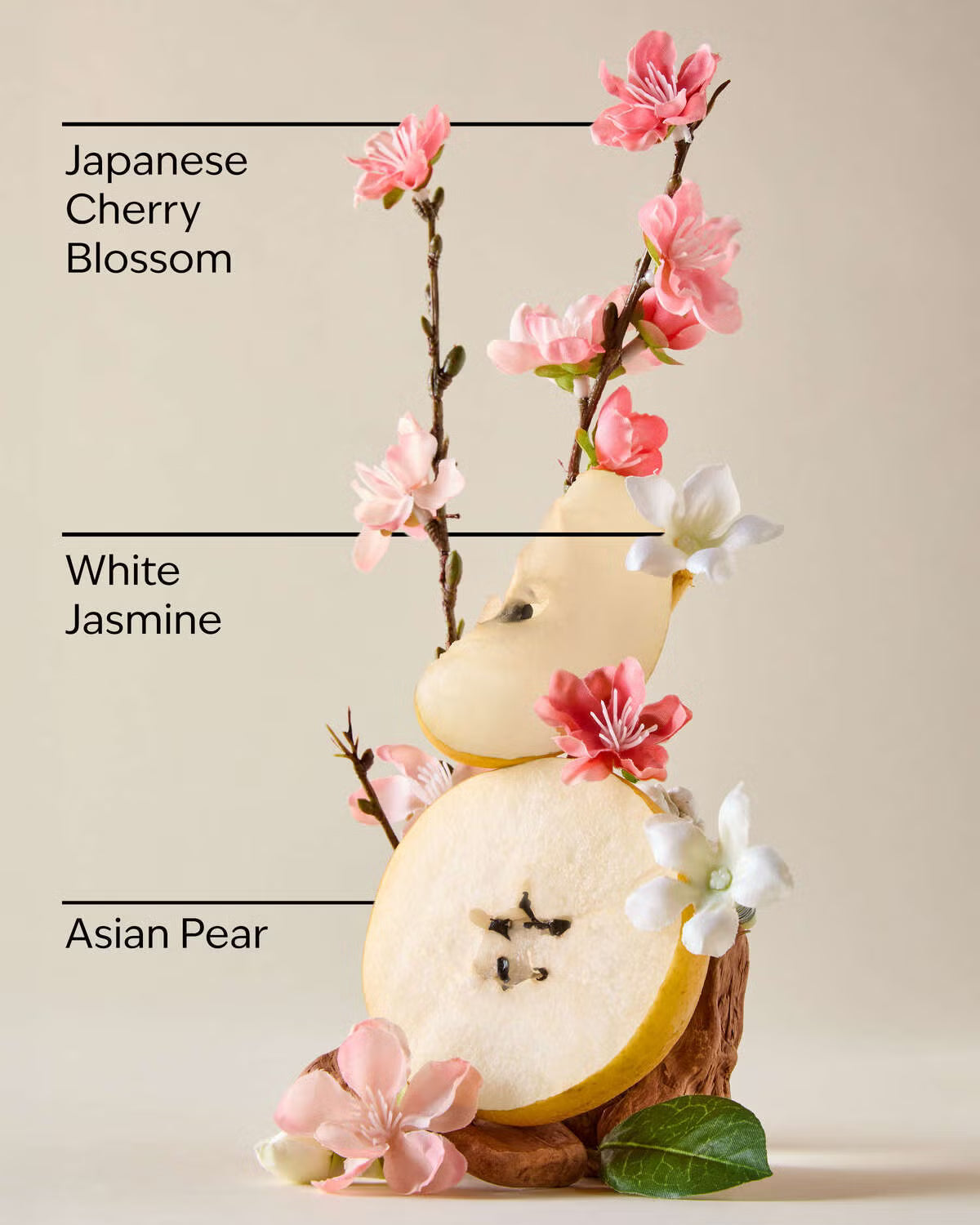 Bath and Body Works Fine Fragrance Mist - Japanese Cherry Blossom