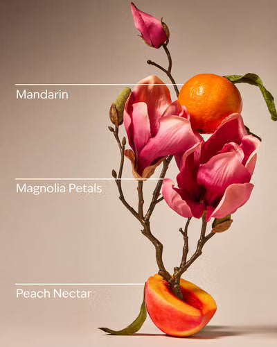 Bath and Body Works Hand Sanitiser Spray - Pink Peach Blossom