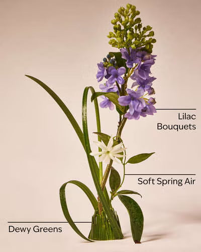 Bath and Body Works PocketBac Sanitiser - Fresh Cut Lilacs