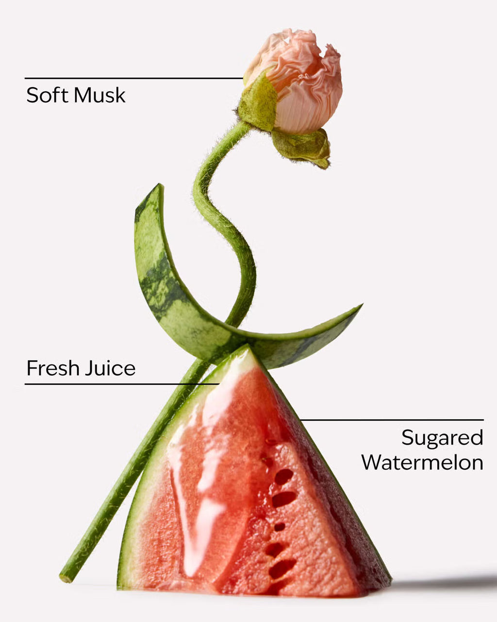 Bath and Body Works Fruit Fusion Perfume Mist - Watermelon Whirl