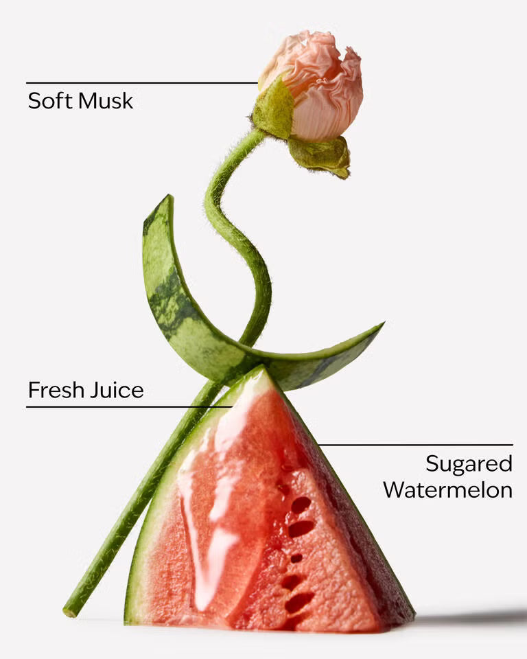 Bath and Body Works Bodywash - Fruit Fusion - Watermelon Whirl