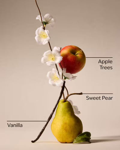 Bath & Body Works 3 wick Candle - Spring Apple