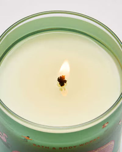 Bath & Body Works single wick Candle - Meet me in Miami