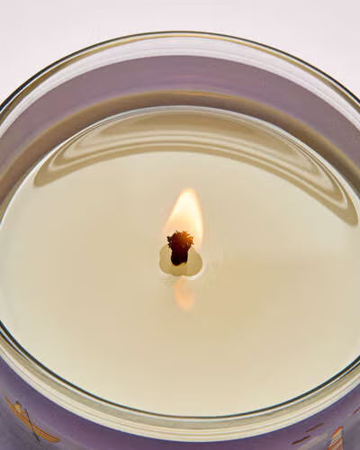 Bath & Body Works single wick Candle - Coconut Pina Colada