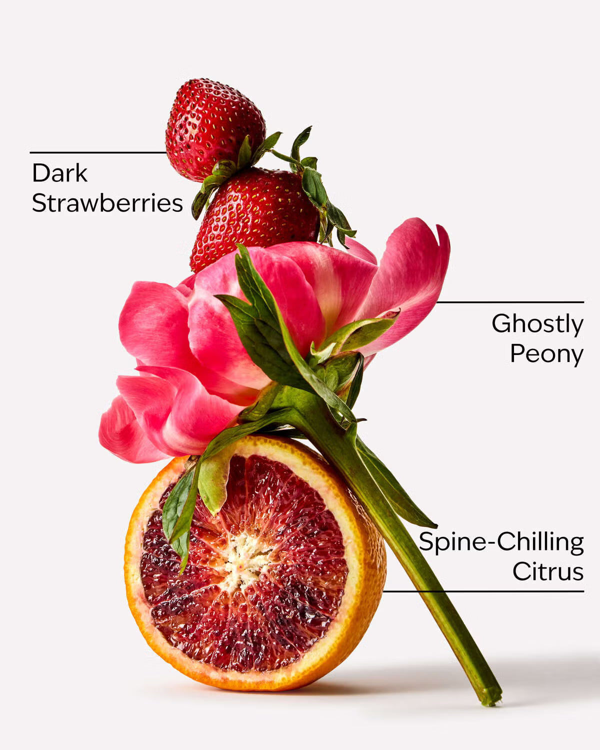 Bath and Body Works Fine Fragrance Mist - Ghoul Friend