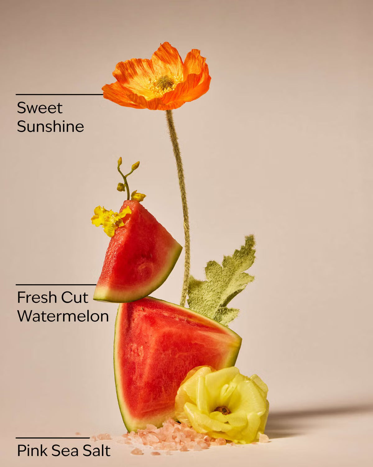 Bath and Body Works PocketBac Sanitiser - Fresh Watermelon